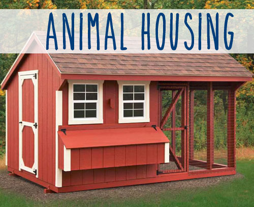 Raising Chickens? We Have Chicken Coops!