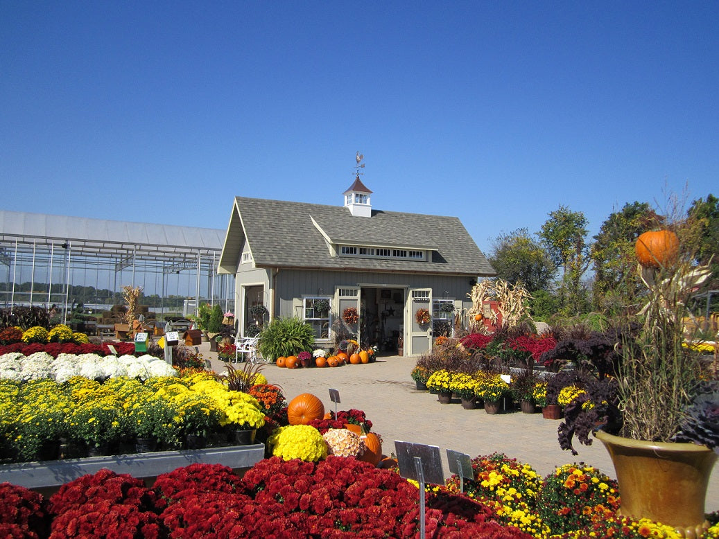 Victorian Ponderosa Shed Styles / Photo Gallery