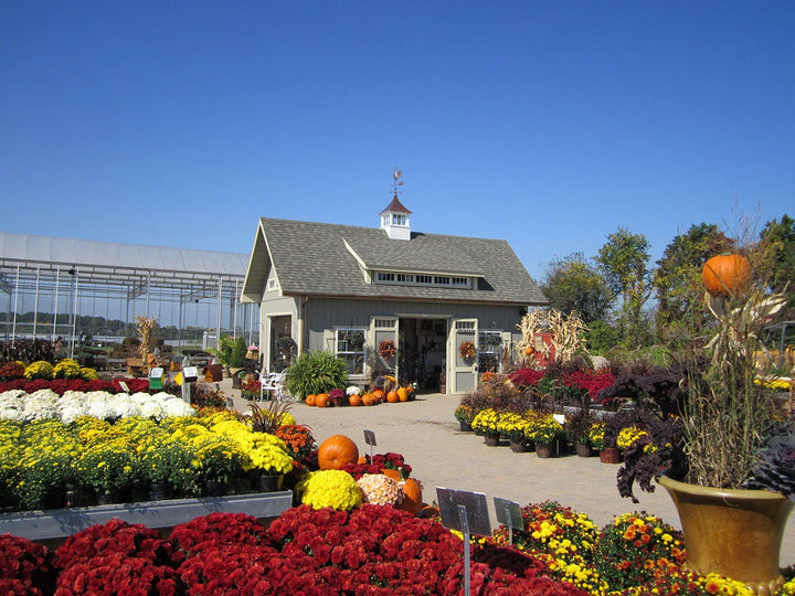 Victorian Ponderosa Shed Styles / Photo Gallery