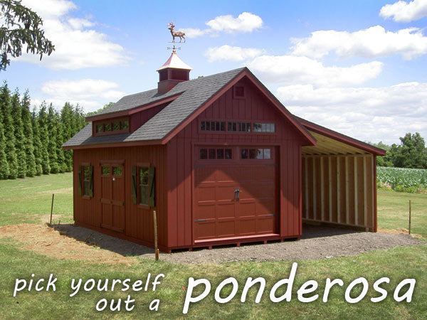 Pick Yourself Out a Ponderosa!